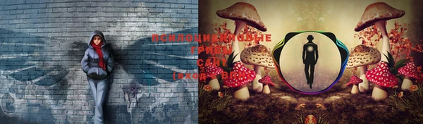 альфа пвп Зеленокумск