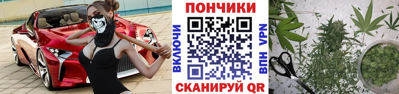 Конопля план  Купить закладки  Сосновоборск 